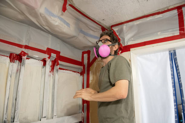 Best Mold Remediation for Healthcare Facilities  in Plainfield Village, CT