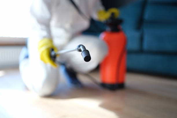 Best Dehumidification Services  in Plainfield Village, CT